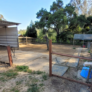 a horse pen with rubber mats and a 3 sided white shelter