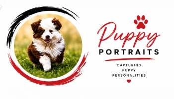 Puppy-Portraits