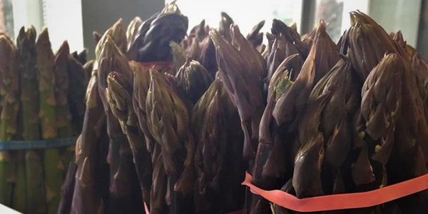 Fresh asparagus bunches