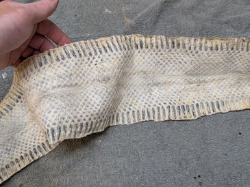 Rattlesnake leather tanned
