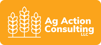 AG Action Consulting