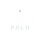 Proton Polo