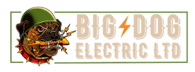 Big Dog Electric