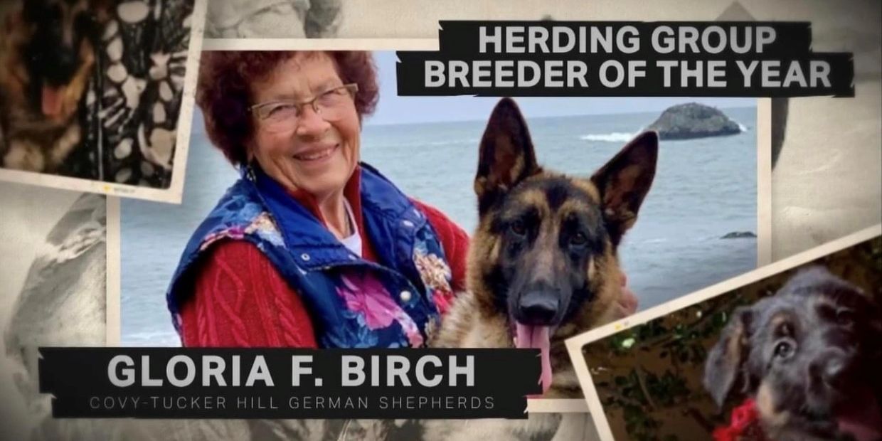 Gloria Herding Group Breeder of the Year. 2022