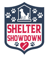 Shelter Showdown