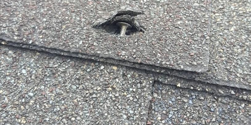 Close-up of a damaged roof shingle with exposed nail.