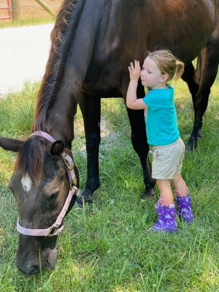 Pasture Horse Boarding in Labadie Mo