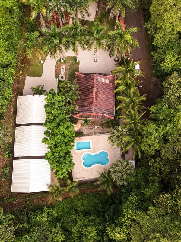 Drone Shot of Jungle Bungalows, Casa Grande and Piscinas