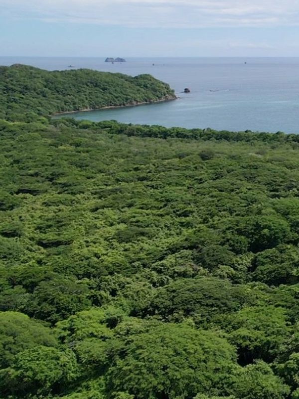 Mística Natural Nestled in the Jungle by the Sea - Puerto Viejo, Playa Conchal, Guanacaste, Costa Ri