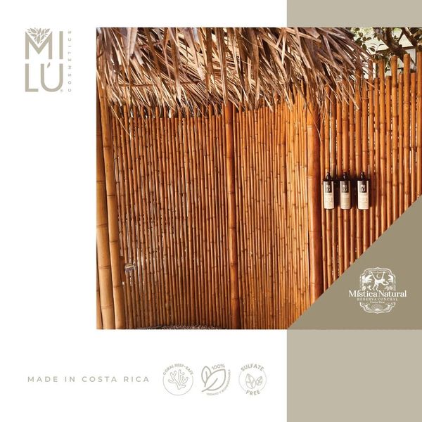Bamboo shower enclosure with natural hanging bottles, promoting eco-friendly products.