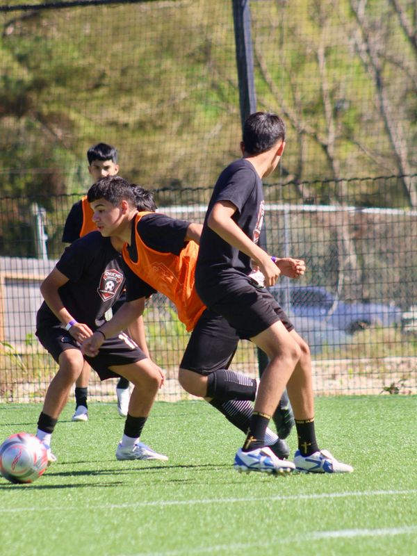 Young boys playing soccer on a sunny day, competing for the ball.