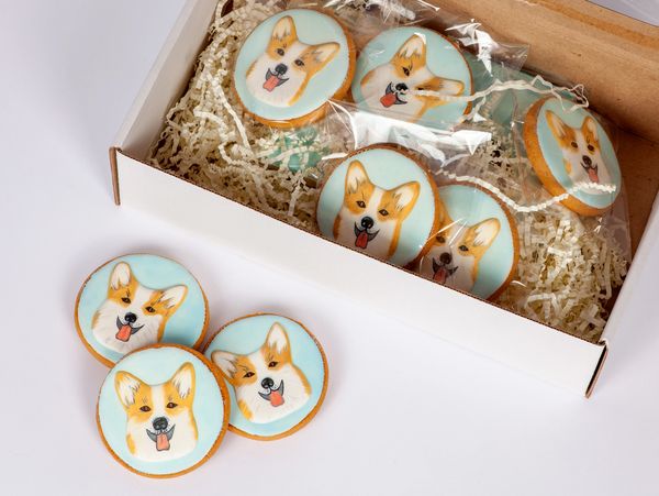 Cookies decorated with cute corgi faces in a gift box and on a white surface.