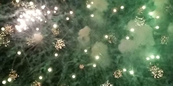 Green and white fireworks from July 4th, 2019 at Lake Eola in Orlando, FL.