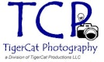 Tiger Cat Photography 