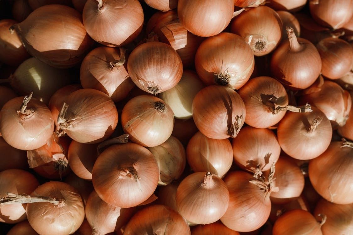 A Practical Guide for Growing Multiplying Onions