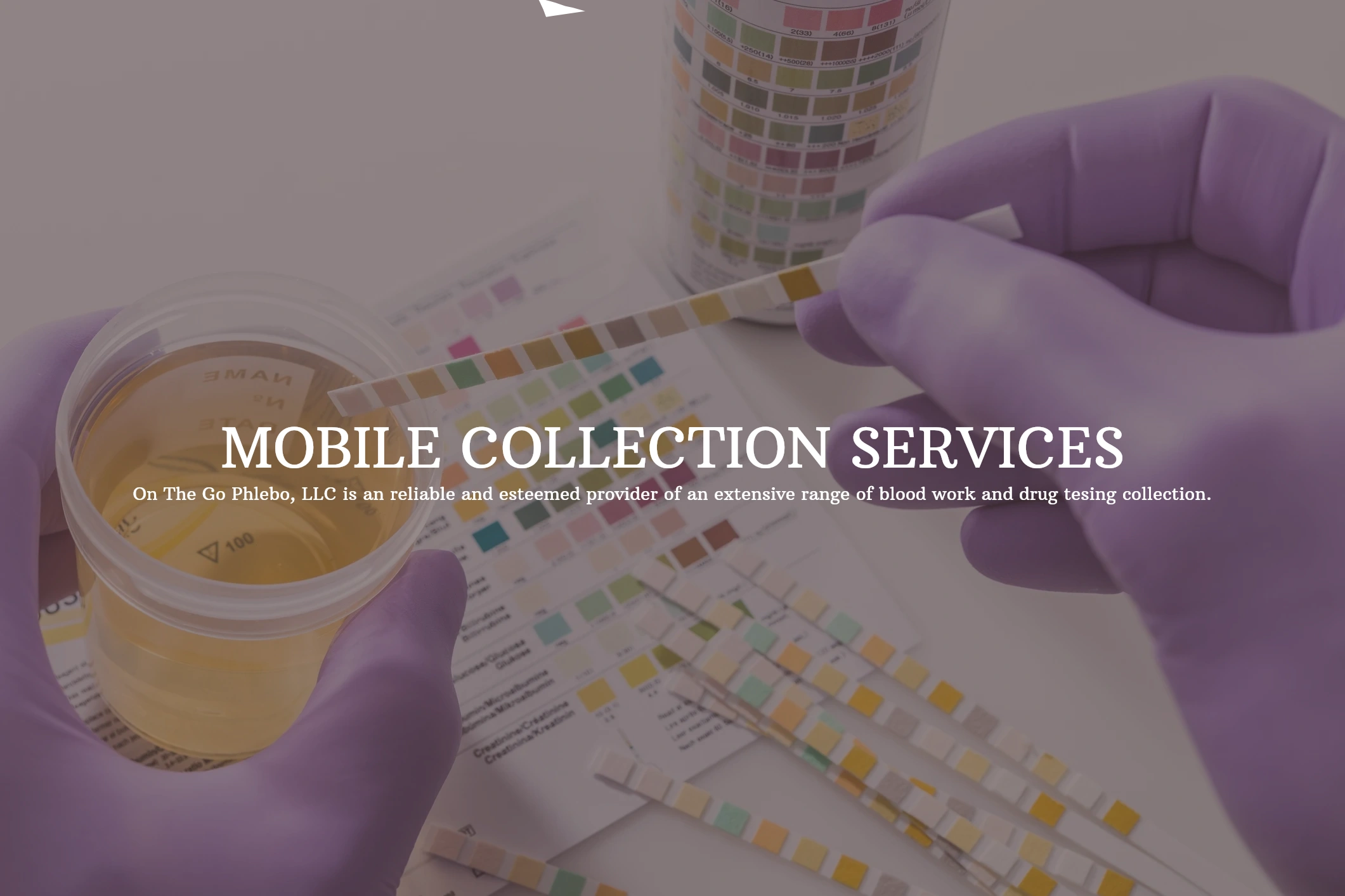 DOT/ NONDOT Drug Testing