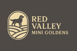 RED VALLEY 
MINI GOLDENS