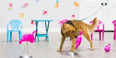 A dog curiously sniffs a pink flamingo decoration indoors.