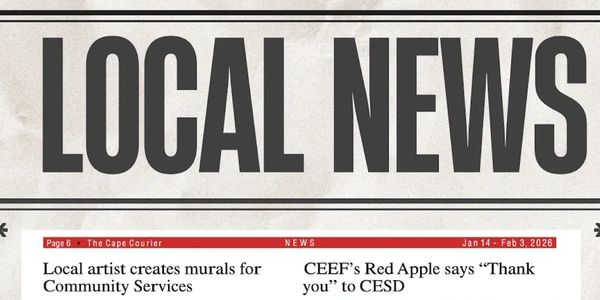 Newspaper