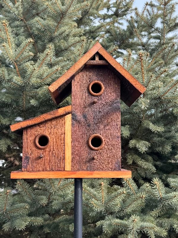 Rustic wooden birdhouse mounted on a black pole against green pine tree background.