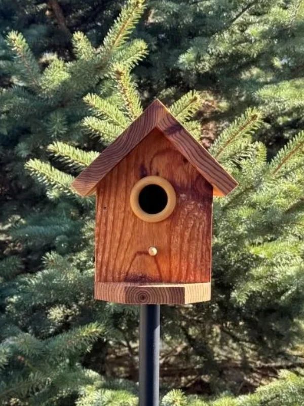 Simple wooden birdhouse mounted on a black pole against green pine trees.