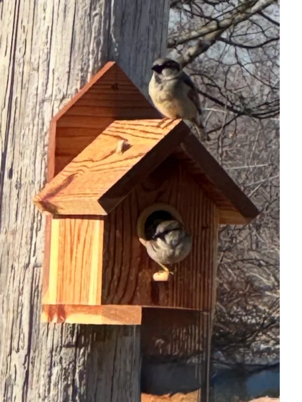One Nest Barn