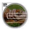 ONC London Level 5 dog training and behavior course