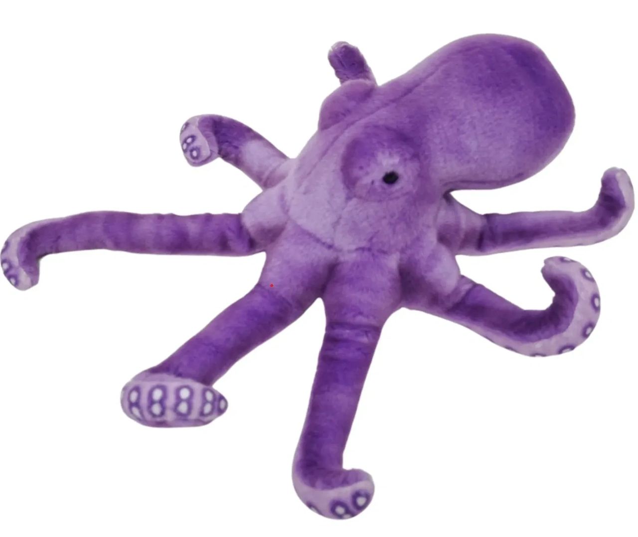 Nate Bocchetta Octopus ESSA