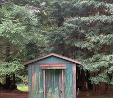 Our one room cabins are nestled in the redwoods and include electricity, microwave, mini fridge, hea