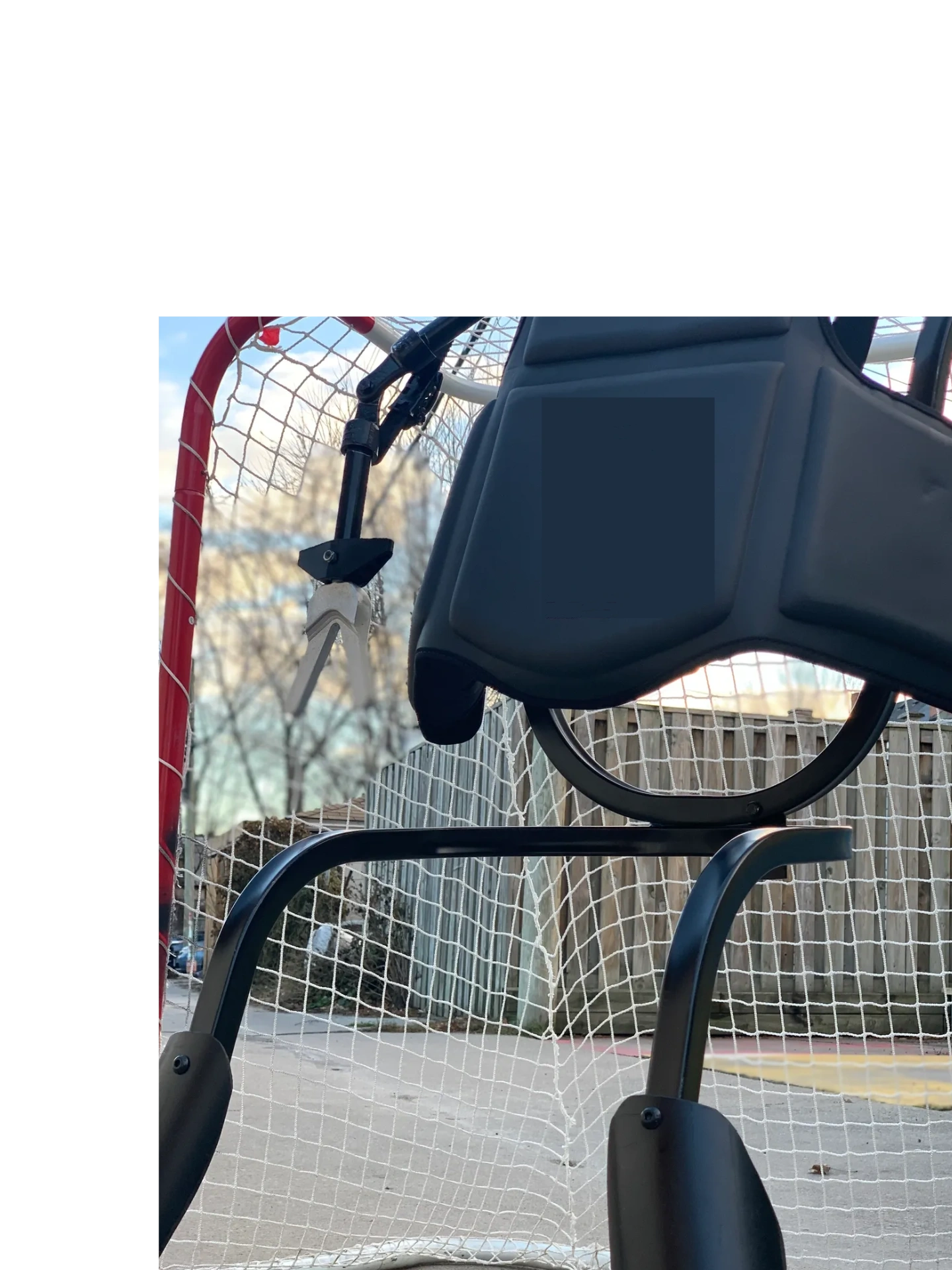 Progoalie  in alley for road hockey