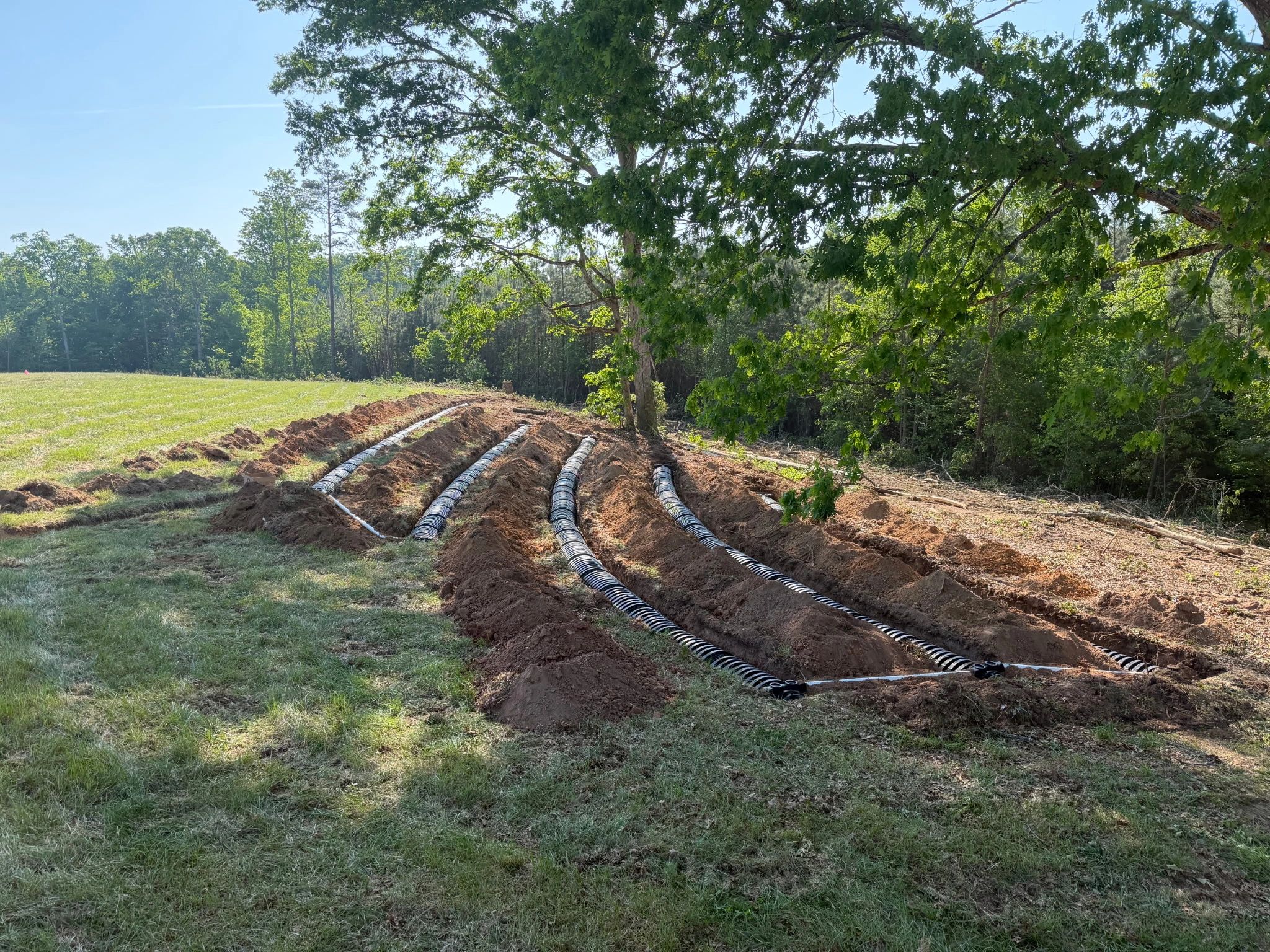 Drainage pipes being installed in trenches in a rural outdoor setting.