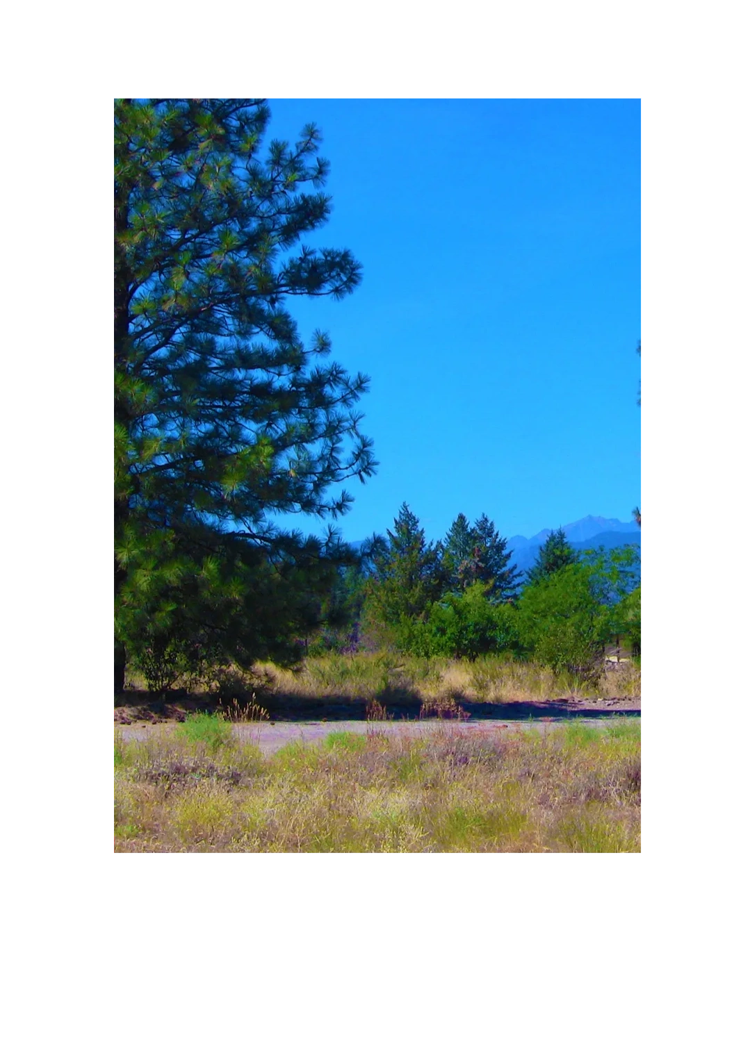 10 Green Meadows Dr E