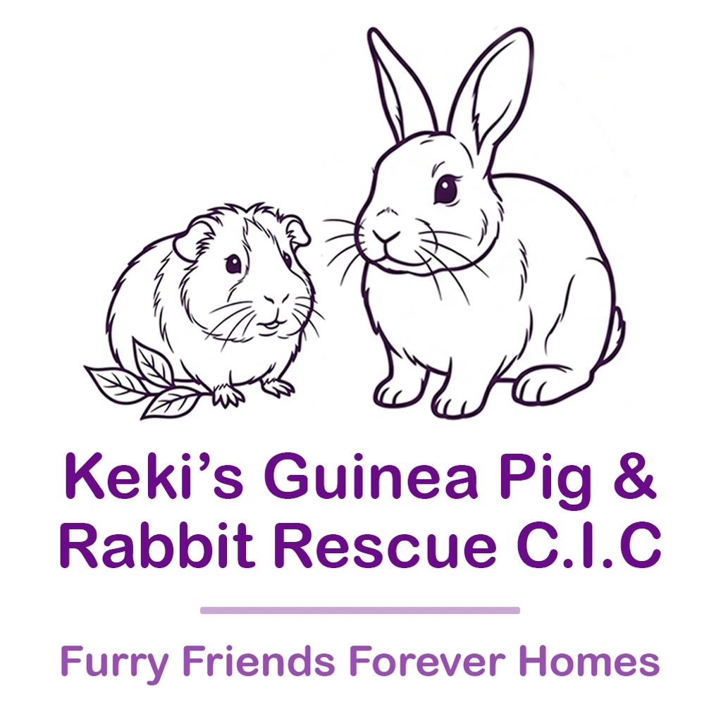 Lindsey from Keki's animal rescue will be a guest speakers at the Basingstoke Loddon Rotary club