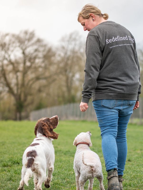 Woman walking with two dogs in a grassy park, wearing a 'Redefined Dog' sweatshirt.