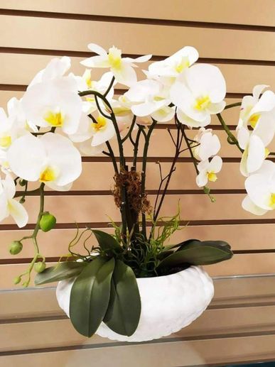 Orquídeas | Touch Flowers