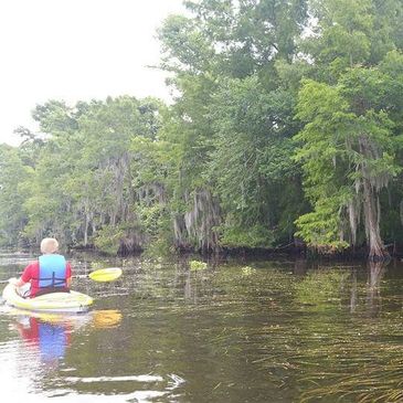 swamp tours crown point louisiana