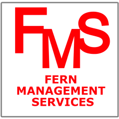 Fern Management Services
