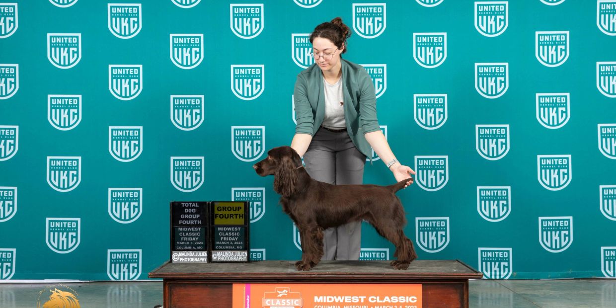 Woman presenting a winning dog at a dog show.