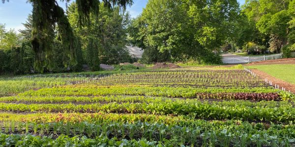 The Garden in Neenah