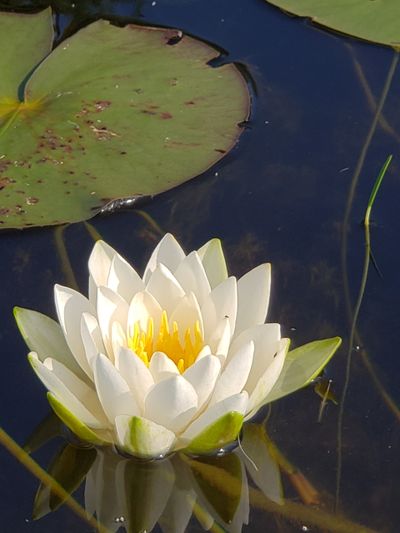 image113
