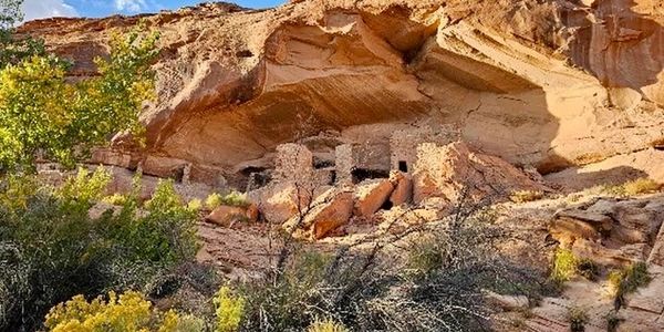 Ancestral Puebloan cliff dwellings nestled within a natural rockshelter.