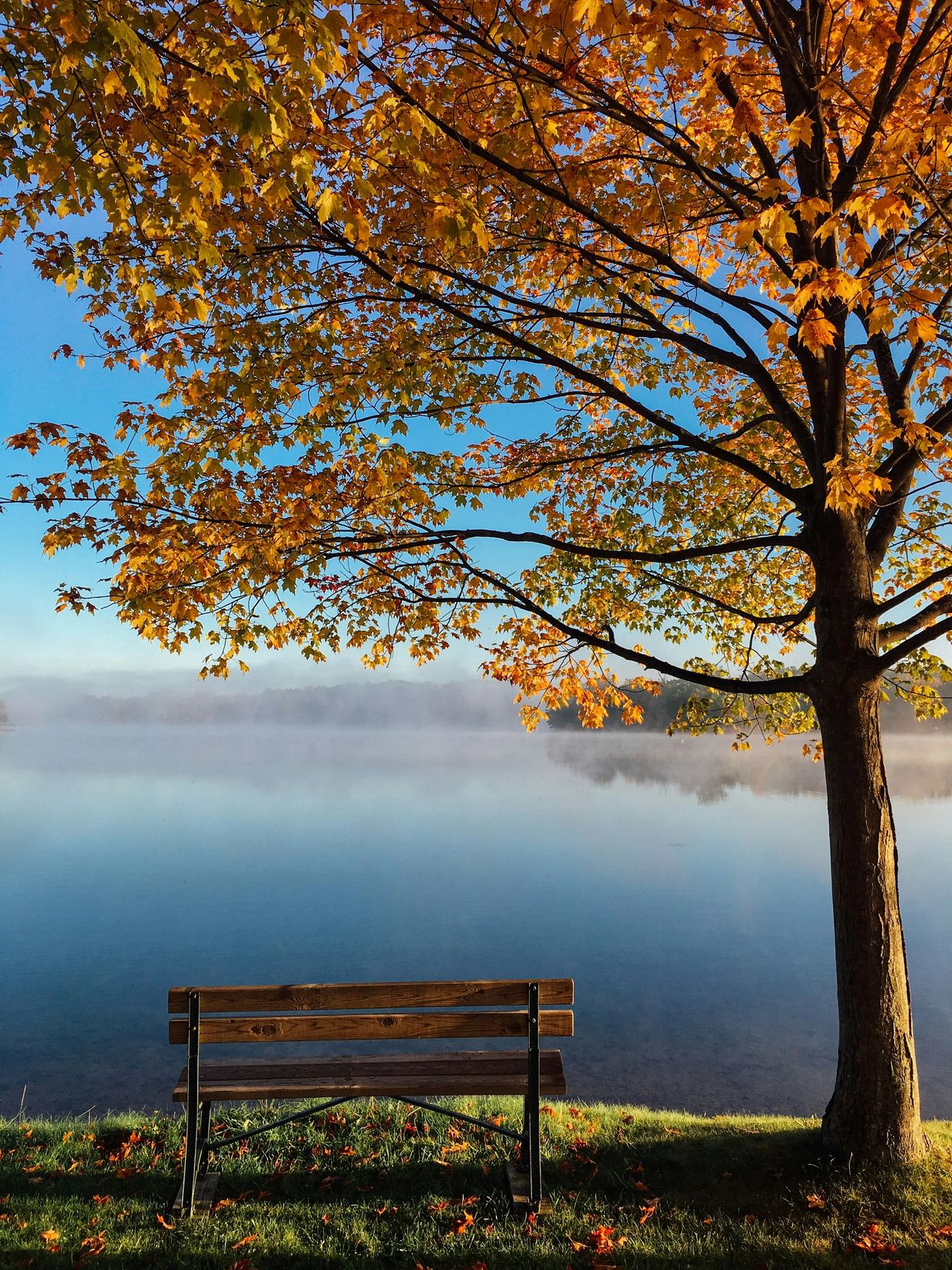 “Empty bench under autumn tree by calm lake, symbolising reflection, peace, healing and loneliness”