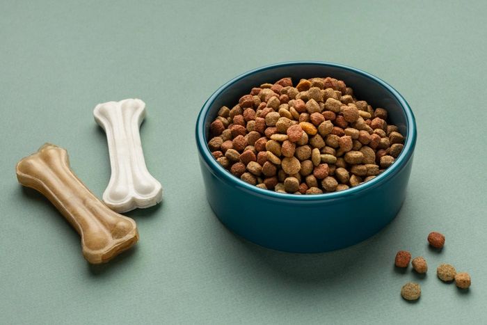 Green dog bowl full of small kibble sitting beside two dog chew  bones.