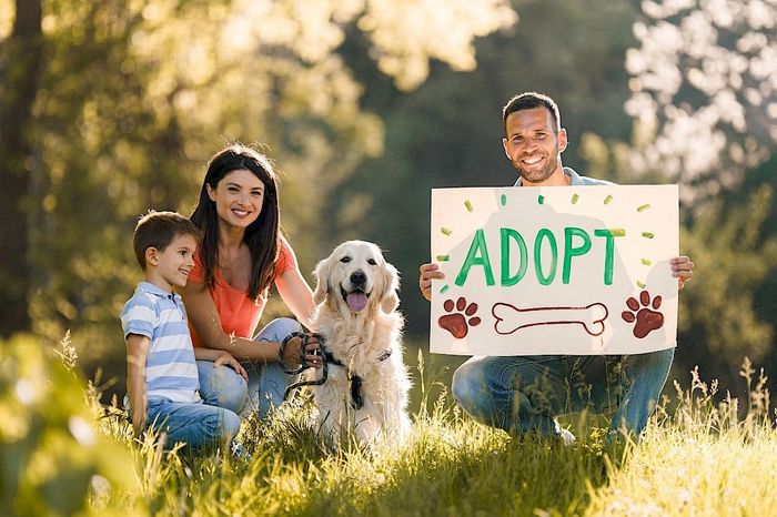 Family of man woman and boy sitting in a sunlit meadow with their Golden Retriever. The man is holdi