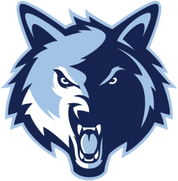 Newsome Girls Basketball