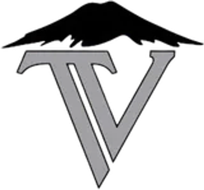 Logo with a black crow above grey stylized letters TV.