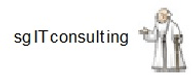 sg IT consulting