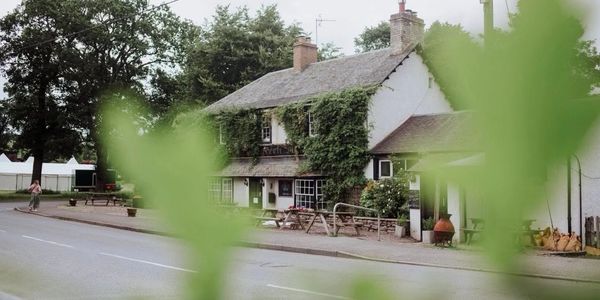 Cozy countryside house partially covered with greenery beside a quiet road.