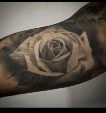 Rose Tattoo