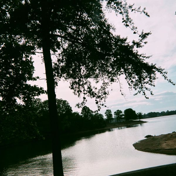 Serene lakeside view with trees and calm water at dusk.